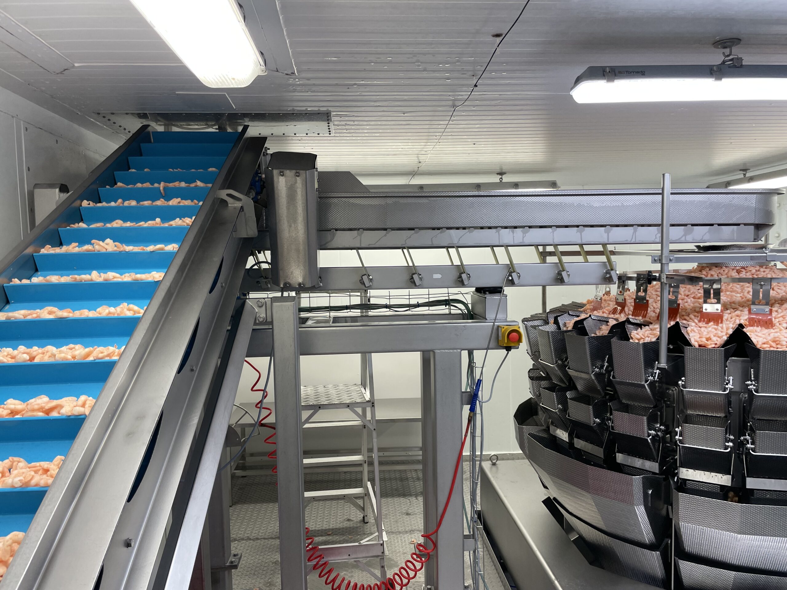 Vibratory Grading Conveyor for Confectionery Company Image